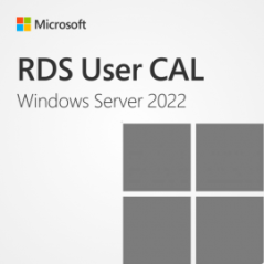 Windows Server 2022 Remote Desktop Services - 1 User CAL