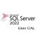 SQL Server 2022 - 1 User CAL